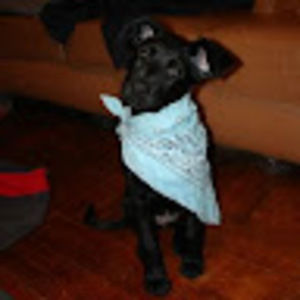 Meet your Posher, Christopher